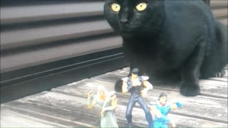 黒猫と北斗の拳