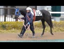 ２３回名古屋競馬１日目観戦日記（前編）