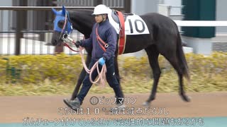 ２３回名古屋競馬１日目観戦日記（前編）