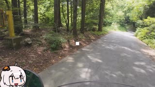 山梨林道めぐり　にじゅうに　～鈴庫山線編～