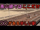 (ホームが無い？）高山本線ではここだけしかない珍しい構造の駅に行きました！