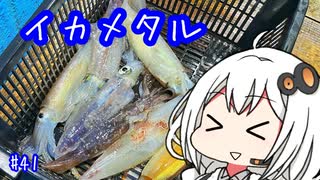 船に乗って日本海へ ＃イカメタル【VOICEROIDフィッシング】