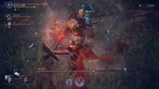 【ELDEN RING NIGHTREIGN】守護者の仕事じゃない