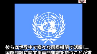国連スタッフってどんな仕事なの