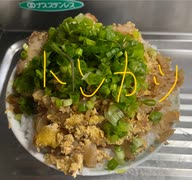 カツ丼　トンカツ　カツ　ネギ　タマネギ　タマゴ　白だし