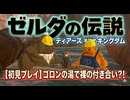 #219【ゼルダの伝説 ティアーズ オブ ザ キングダム】次回動画から最終章へ突の入でござる！