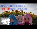 【VOICEROID車載】夏なので暑いけど頑張って向日葵見に行ってきたお話【シンプル車載動画投稿祭2025】