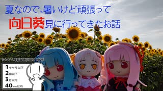 【VOICEROID車載】夏なので暑いけど頑張って向日葵見に行ってきたお話【シンプル車載動画投稿祭2025】