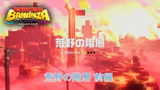 【ドンキーコング バナンザ】荒野の階層 前編  Part 4【ネタバレあり】