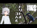 トリトルコハル【シンプル車載動画投稿祭2025】