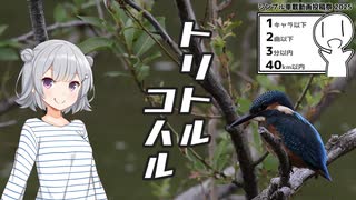 トリトルコハル【シンプル車載動画投稿祭2025】