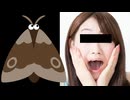 ホモと見る家に蛾が出て警察沙汰になってしまう女