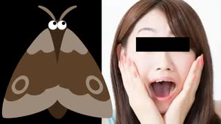 ホモと見る家に蛾が出て警察沙汰になってしまう女