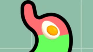 ホモと学ぶ食べたものの消化時間