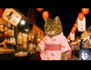 ホモと見る夏祭りを楽しんでしまう猫