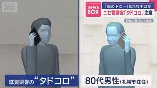 偽警察官　タドコロ(迫真) 素材