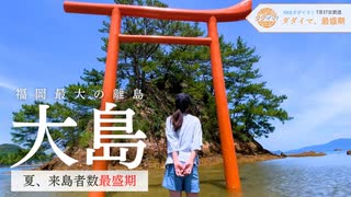 来島者数がピークを迎える夏の大島