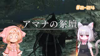 【Darksouls2】一度使った物は次作以降使用禁止 Part2-24