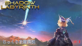 【SHADOW LABYRINTH】第1回　３０年前に堕ちたアレを見つけ出せ　じっくり攻略実況　シャドウラビリンス