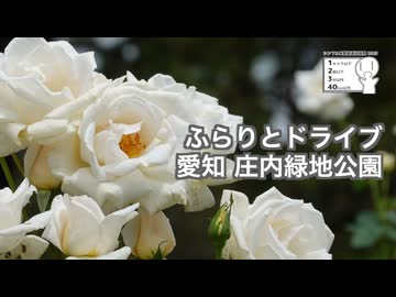 ふらりとドライブ 愛知 庄内緑地公園【シンプル車載投稿祭2025】