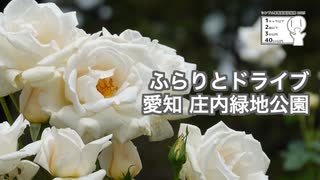 ふらりとドライブ 愛知 庄内緑地公園【シンプル車載投稿祭2025】