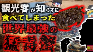 「知らずに食べた世界最強の猛毒ガニ」5cmの体に8人を56せる猛毒を持つカニ…「ウモレオウギガニ」を食べてしまった観光客【ゆっくり解説】