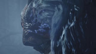 モンハン史上最大の闇に触れる…!? #9【モンスターハンターワイルズ】