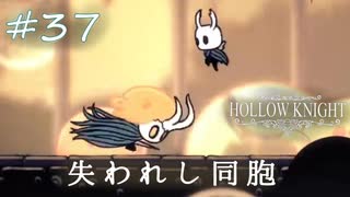 ムダにビビりながらゆく『ホロウナイト』part37
