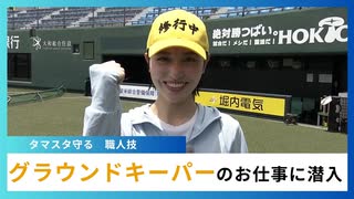 タマスタ守る職人技！グラウンドキーパーのお仕事に潜入【ハシモトゆきます】