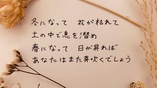 花/绮萱