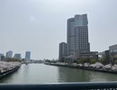 令和6年　春桜　造幣局　桜の通り抜け　イベント　屋台　売店