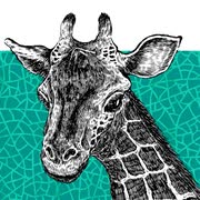 【初音ミク】グッドネイバー4号/loca (MIKUHATSUNE_goodnaver#4/loca）