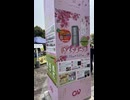 令和6年　造幣局　さくらまつり　桜の通り抜け　イベント　屋台　売店