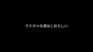 ウミガメの涙は塩らしい（Remix）