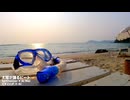 Mai - 太陽が踊るビート