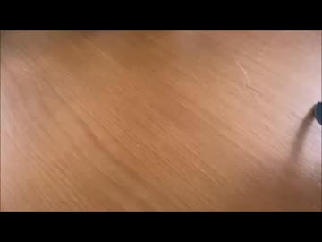 石破総理の事務所へ許可取り