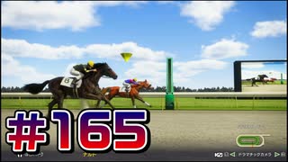 【ウイニングポスト10 2024 】こっちでめざせ！G1全制覇！ウイニングポスト10 2024 #165【実況プレイ】