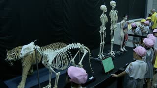 「骨」の役割ユニークに紹介　「Bones2　ほねほね運動会」いのちのたび博物館で19日から開催　福岡・北九州市