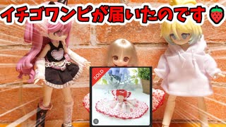 【ドール日常劇場】お届け物は突然に！かわいいイチゴワンピにメロメロ【ドールの日常Part.4】