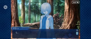 【FGO】六合大槍（幕間の物語）1