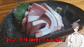 釣った魚を調理して食べる　鰤のお造り