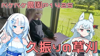 2025年7月18日　農作業日誌P1425　ちょっと家具作りつつ雨の後で草原になったところの草刈りです