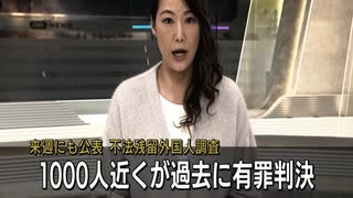 不法残留外国人 退去強制命令拒否(有罪判決後 難民申請)・不法滞在者 医療費・国外退去費問題