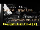 【クラシック】ベートーヴェンのバガテル op. 119-1を弾いてみた【ピアノ】