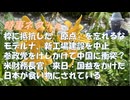 ワクチンに抵抗してきた原点に立ち返る：国権強化を目指す参政党に疑義ありｂｙ鳥集徹！参政党、神谷代表の背後に米国防省・コルビーがいるｂｙ副島隆彦！健康志向に縛られて不自由に暮らす損！【アラ還・読書中毒】