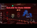 【Sonic.EXE The Disaster REBORN / Sonic.EXE　災害】 Walkthrough Gameplay #013 2025/07/18