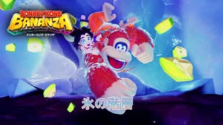 【ドンキーコング バナンザ】氷の階層 Part 8【ネタバレあり】