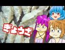 【餃子】ぼくも料理動画が作りたかった ＃５５