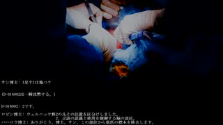 【SCP紹介】　教えて！　ゆかり先輩！　SCP-150 - テセウスの船