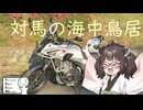 対馬の海中鳥居